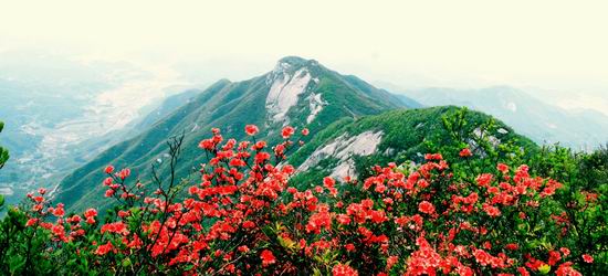 “蹭饭书记”卸任 村民们不舍告别