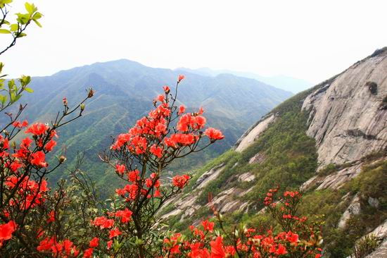《燕云十六声》道歉