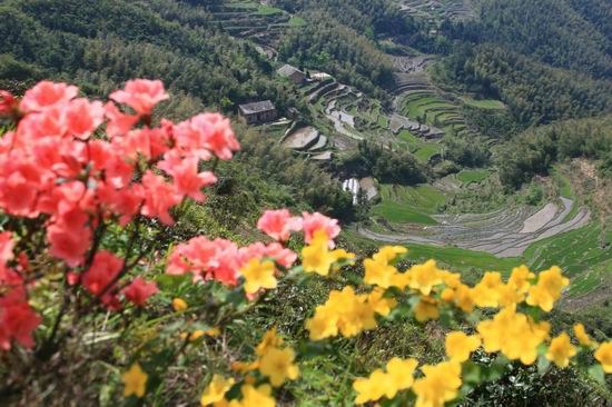 杭州爸爸打包一车雪回家送女儿