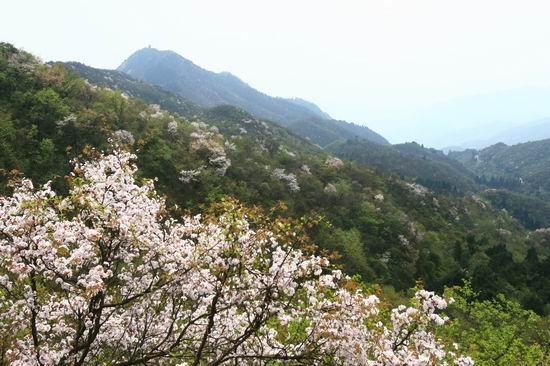 男子客车脱袜子反骂提醒女生