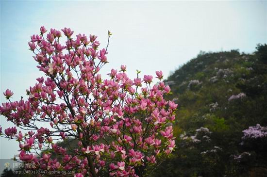 台湾6.6级地震 台北摇晃近1分钟