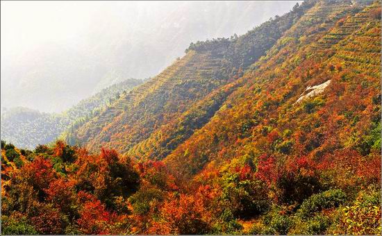 姚晨带儿子打卡“即将消失的机位”