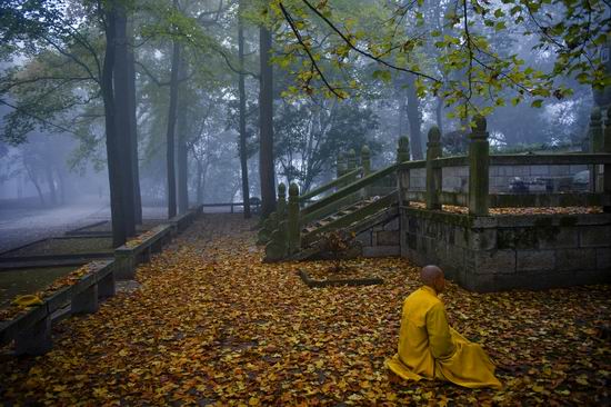 跨年冷空气来了 局地累计降温近20℃