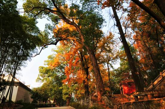台湾或将有5.5至6级余震