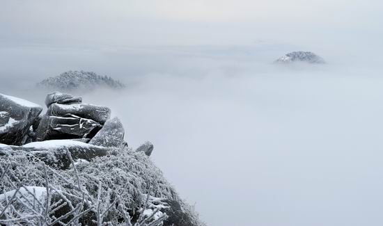82岁母亲坐轮椅探监 狱中儿子下跪
