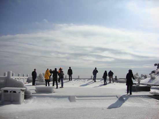 鸡蛋拌饭已成日本“奢侈品”