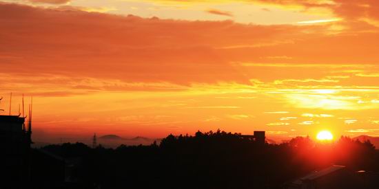 相亲恋爱警惕这种“见家长”