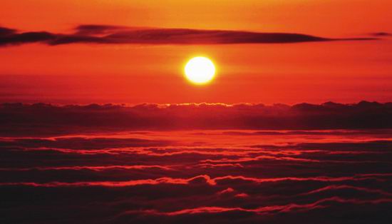 蔡磊称推出的渐冻症药领先全世界