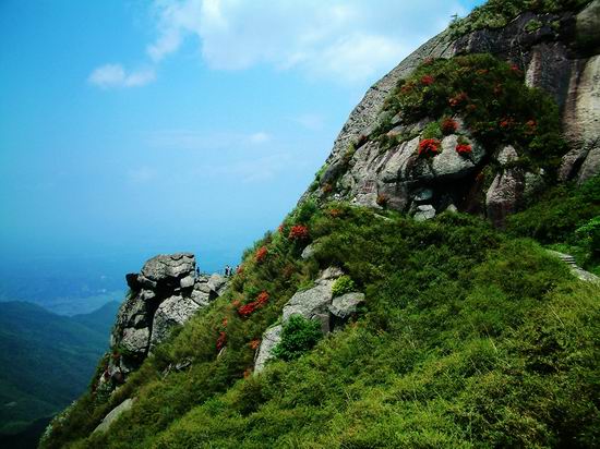 网红非洲绑架同胞 被抓后遭人扇巴掌