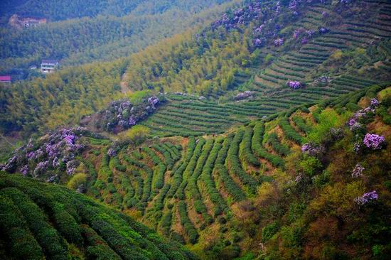 工作不在状态 16名干部被省委调整