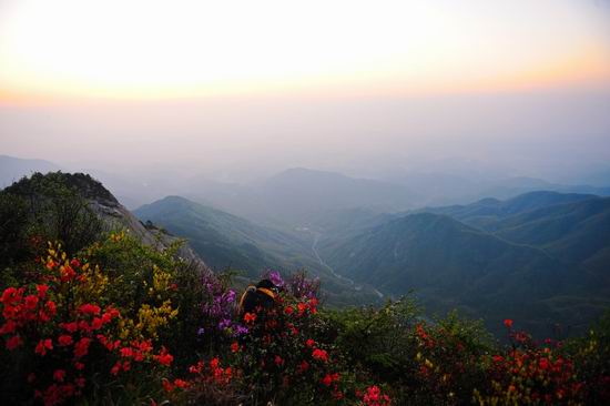 360优化大师安卓版